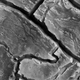 Illustration for article titled 8 Incredible Images That Make Mars Look Like A Petri Dish